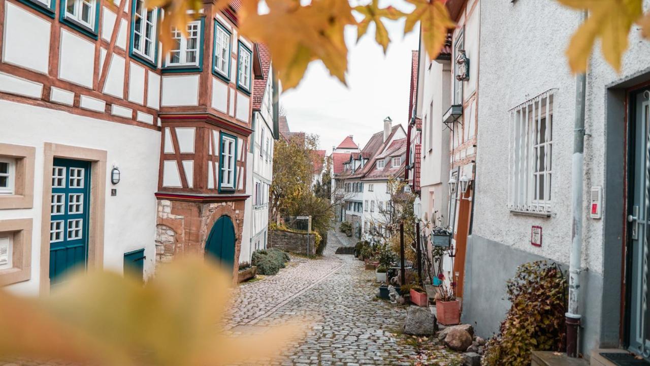 Hotel Neckarblick Superior Bad Wimpfen Exterior foto